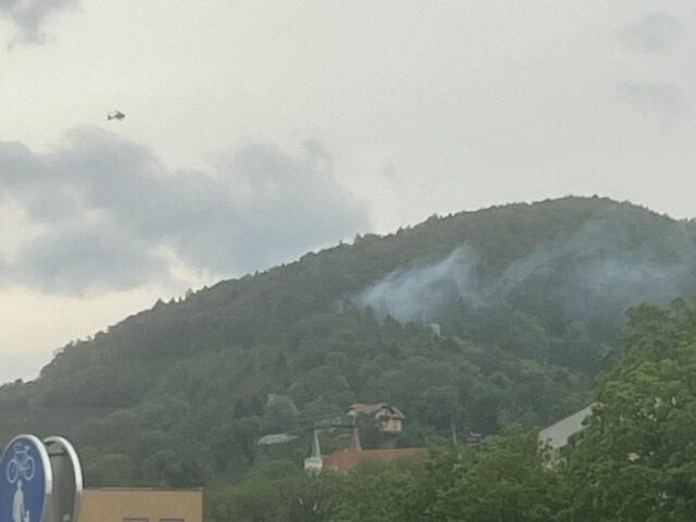 Waldbrand Buchkogel