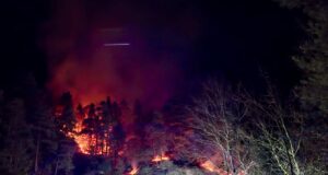 Waldbrand durch Feuerwerk