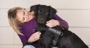 Assistenzhund Rollstuhlfahrerin