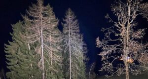 Kleinbus nähe Schladming abgestürzt