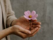 Frauenhand Blume