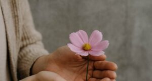 Frauenhand Blume