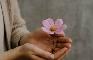 Frauenhand Blume
