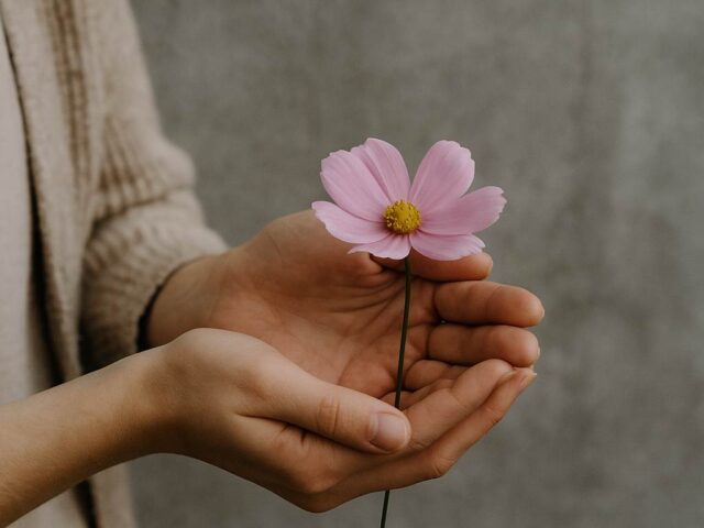Frauenhand Blume
