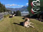 Steiermark Card Vorteile