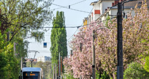 Straßenbahn in Graz Andritz
