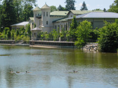 Enten am Hilmteich