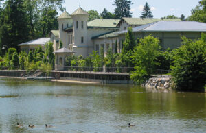 Enten am Hilmteich