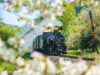 Mariazellerbahn Sieger bei 9 Plätze Schätze