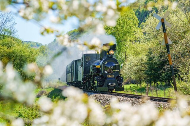 Mariazellerbahn Sieger bei 9 Plätze Schätze Mariazellerbahn Sieger bei 9 Plätze Schätze