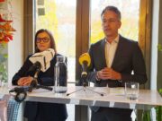 Hohensinner Hölzlsauer