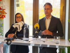 Hohensinner Hölzlsauer