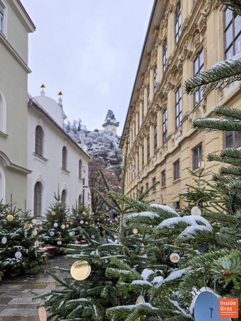 Christbäume von Schnee bezuckert