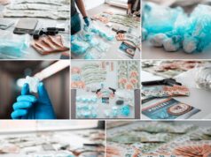 Drogenhandel aus Hinterhofwerkstatt in Graz aufgedeckt Drogenfund Polizei