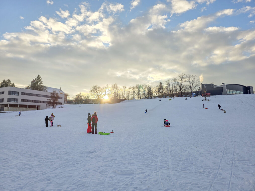 Rodelhügel Premstätten