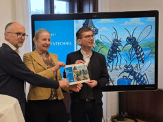 Tigermücke: So richtet Graz seine Strategie für 2026 aus