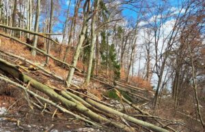 Buchkogel gesperrt – Stadt warnt vor Lebensgefahr Buchkogel gesperrt