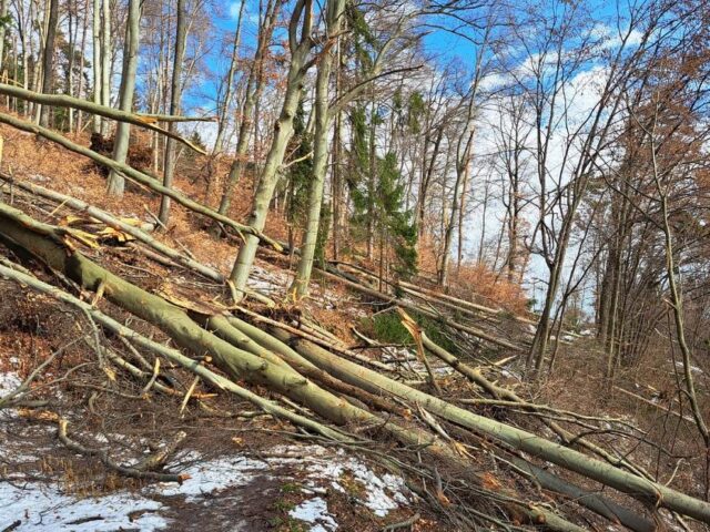 Buchkogel gesperrt Buchkogel gesperrt