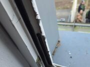 Einbruch im Tierheim Arche Noah – Täter hatten es auf Unterlagen abgesehen Einbruch Arche Noah