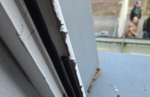 Einbruch im Tierheim Arche Noah – Täter hatten es auf Unterlagen abgesehen Einbruch Arche Noah