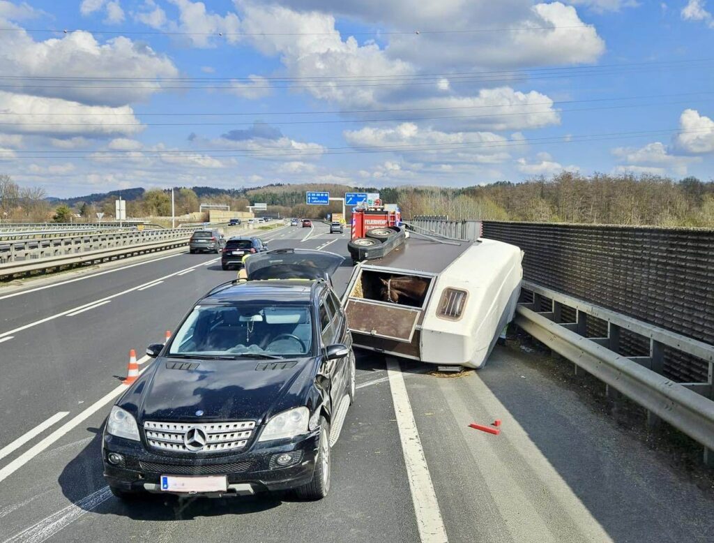 Pferdeanhänger auf Autobahn umgekippt