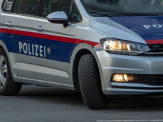 Polizei fasst mutmaßlichen Serien-Brandstifter in Graz Polizeiauto
