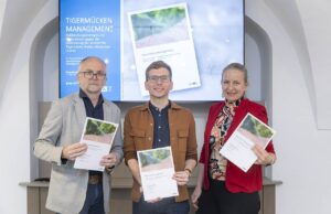 Tigermücke in Graz: Neue Technik und sterile Mücken gegen die Plage Tigermücken Management