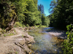 Frau stürzt mit Hund in Raabklamm über Felskante Kleine Raabklamm