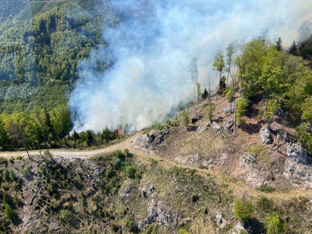 Luftaufnahme vom Waldbrand