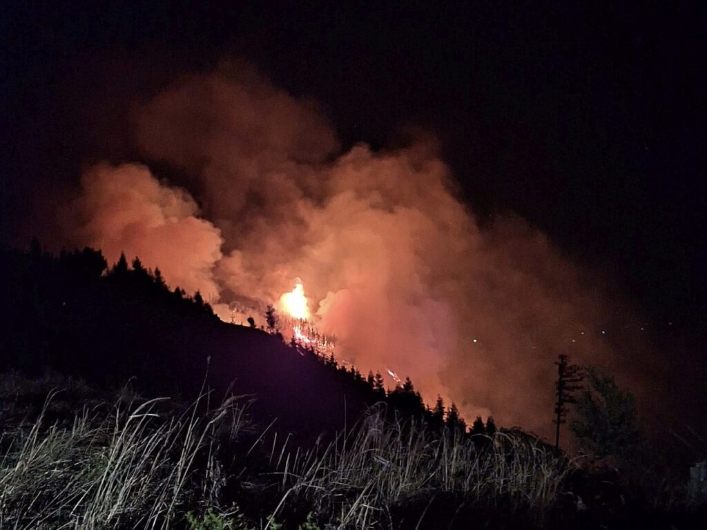 Waldbrand in der Nacht