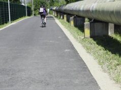 Schlange am Grazer Radweg geht viral Schlange am Radweg