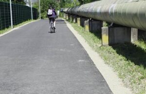 Schlange am Grazer Radweg geht viral Schlange am Radweg