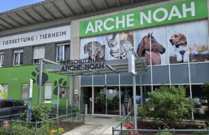 Arche Noah: Streit um Stadtgeld für Tierheim-Umbau Arche Noah Tierheim Graz