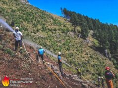 Waldbrand nahe Schießlingalm: Almbesucher greifen zu Feuerlöschern