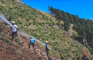 Waldbrand nahe Schießlingalm: Almbesucher greifen zu Feuerlöschern